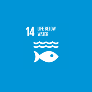 SDG 14 Conserve and sustainably use the oceans, seas and marine resources for sustainable development
