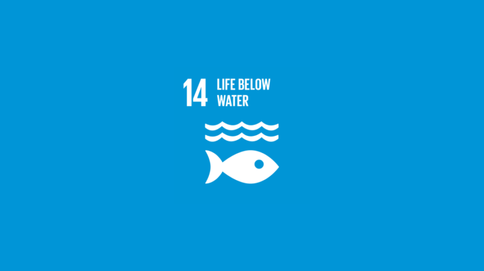 TU Sustainability Report 2023 Recap | ธรรมศาสตร์กับการขับเคลื่อน SDG 14