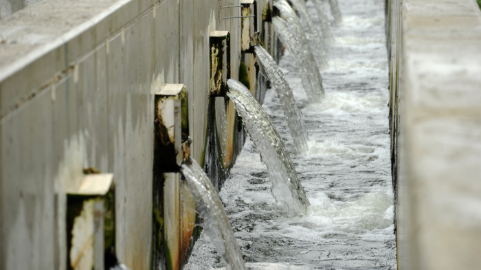 From Wastewater to Edible Oasis: Thammasat and Pathum Thani Community Co-Create a ‘Model’ for Urban Quality of Life