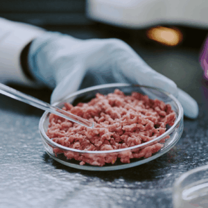 Thammasat Food Sci Wins Gold at SIIF Korea; Files Over 20 Patents for Food Innovations in 2025